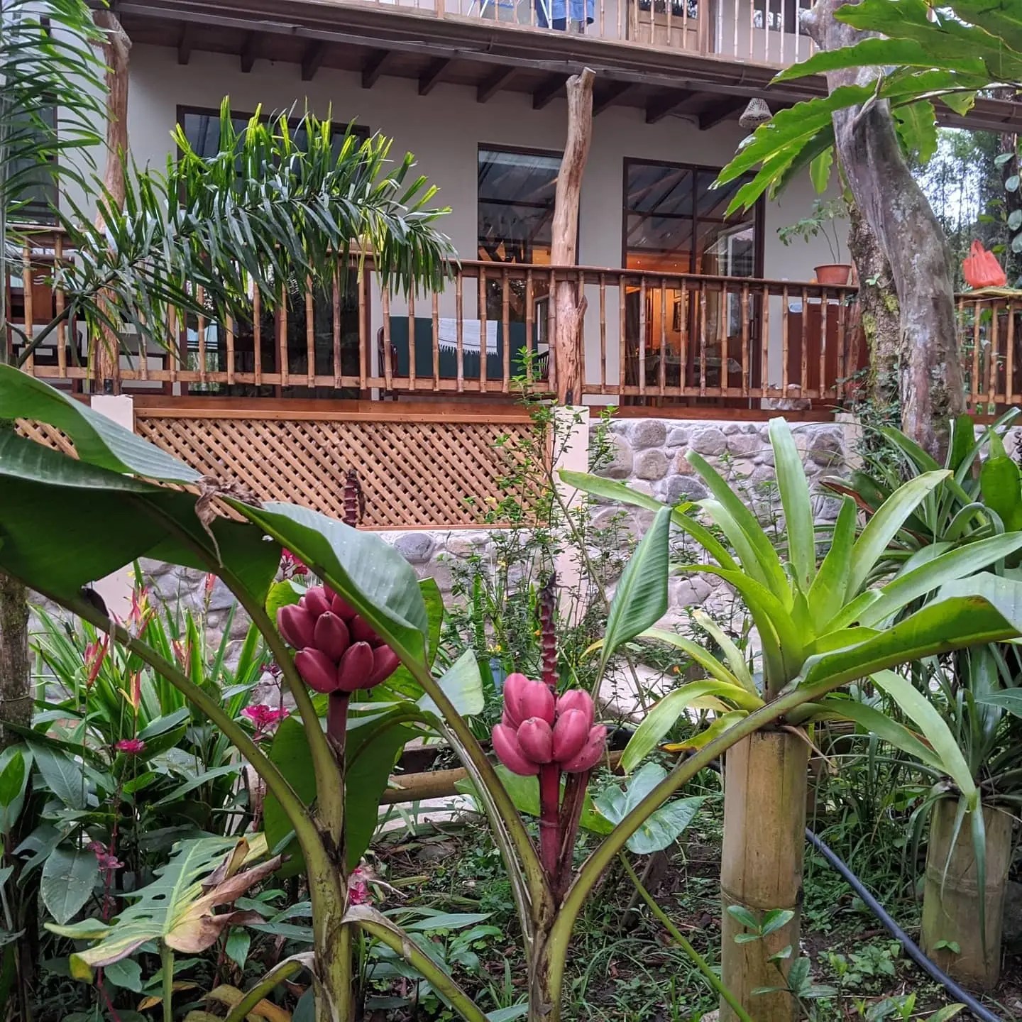 5 Bed Riverside Property for Sale in Mindo Pichincha Ecuador Esales