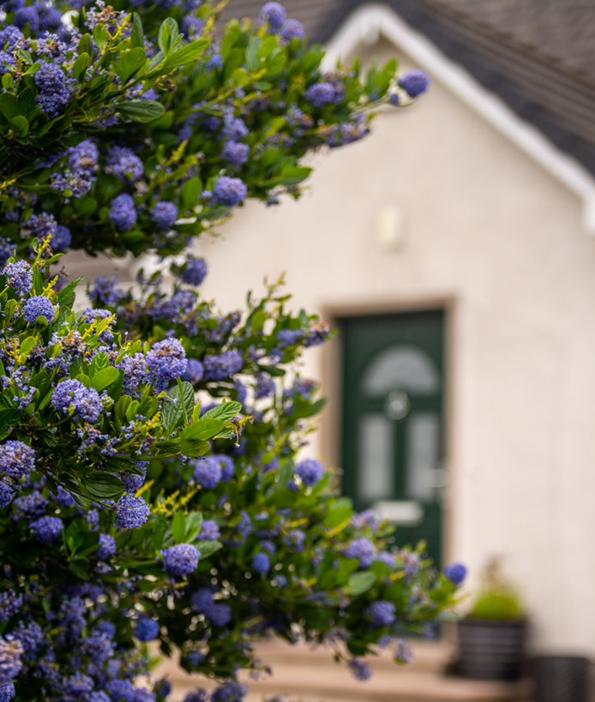 Luxury 6 Bed Bungalow For Sale in Derrynoose County Armagh Ireland