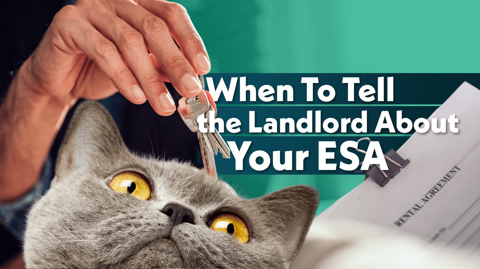 When To Tell the Landlord About Your Emotional Support Animal