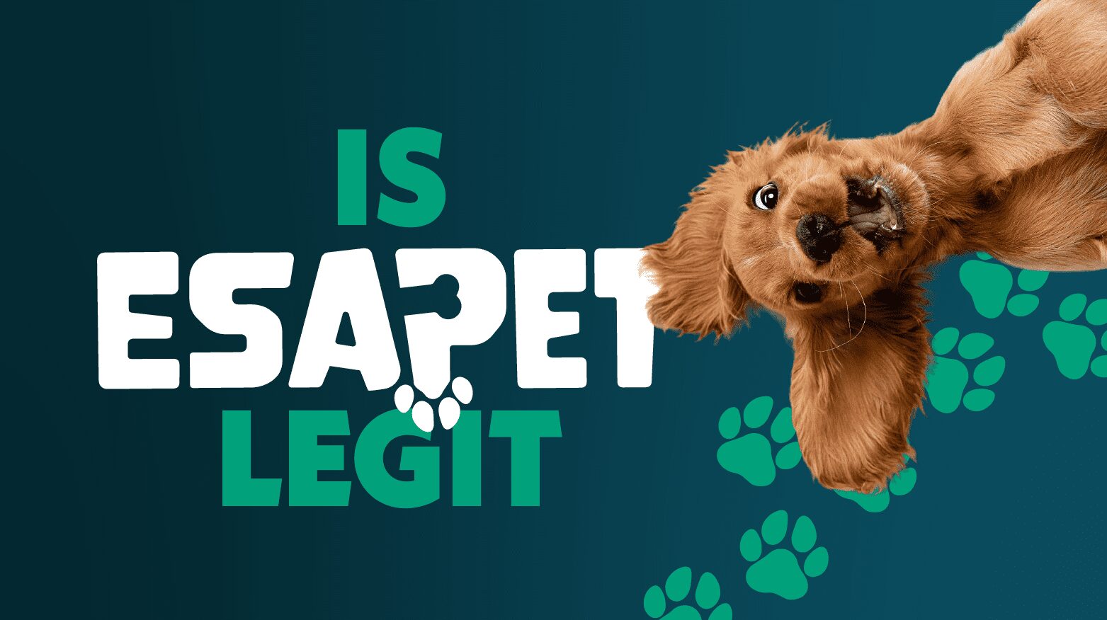 Is ESA Pet Legit? ESA Pet