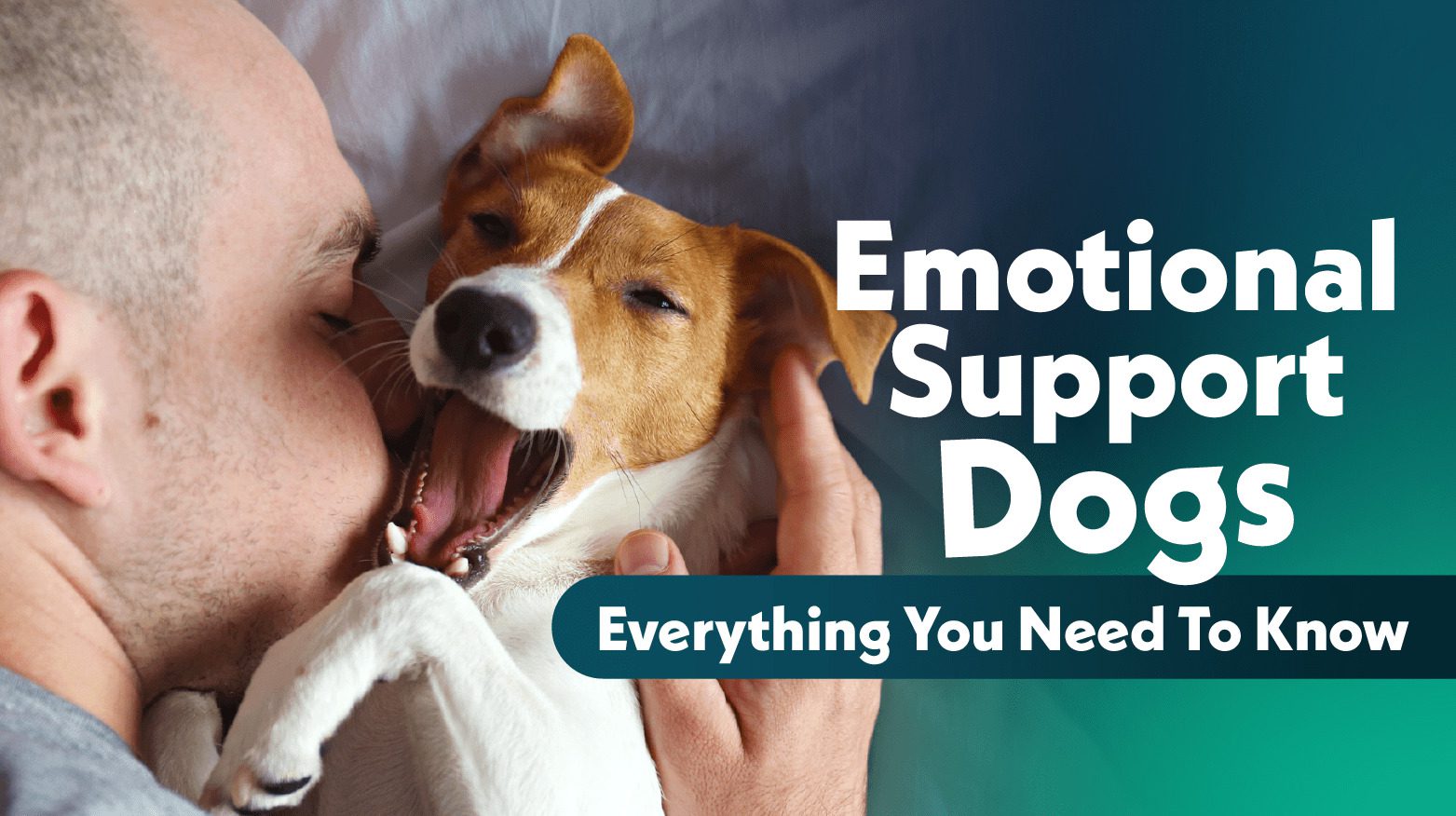 Emotional Support Dogs Everything You Need To Know