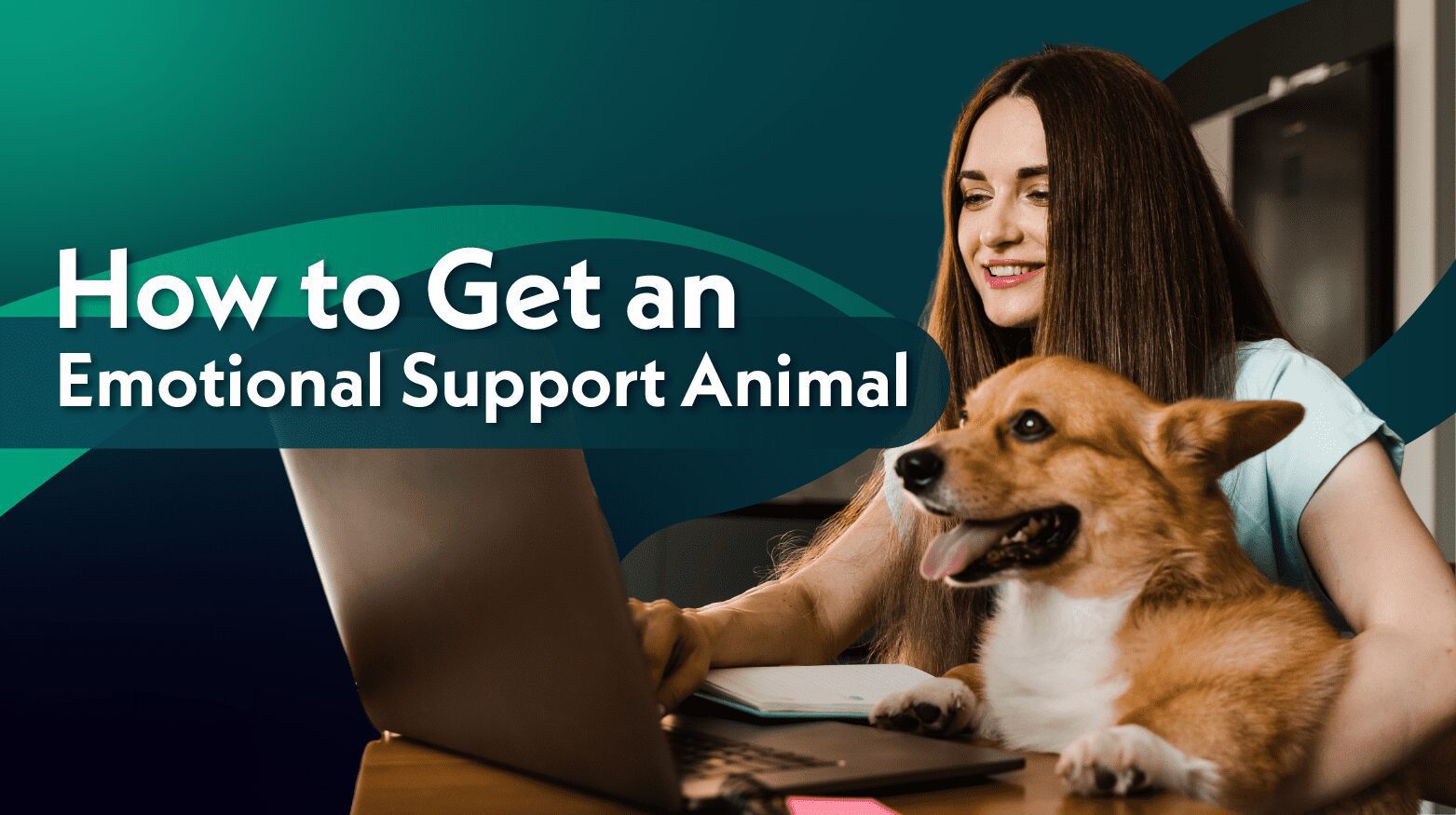 How To Get an Emotional Support Animal In 3 Easy Steps