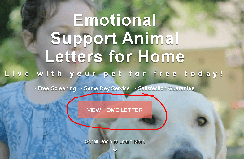 Top 5 Emotional Support Animal Letters ESA Reviews