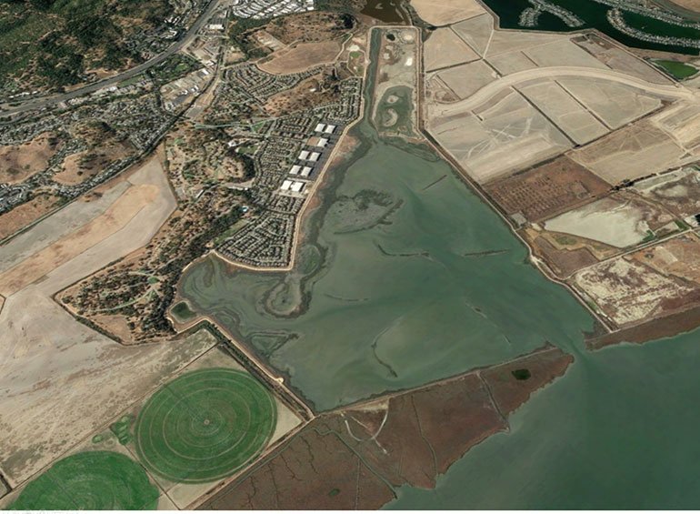 Designed and Delivered Hamilton Wetlands Restoration Project