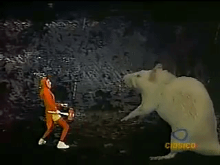 giphy-76.gif