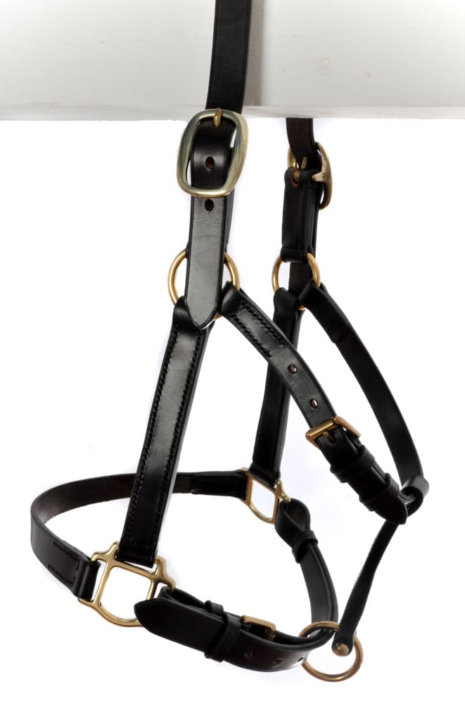 Bespoke leather headcollars hand made by ESB Leather