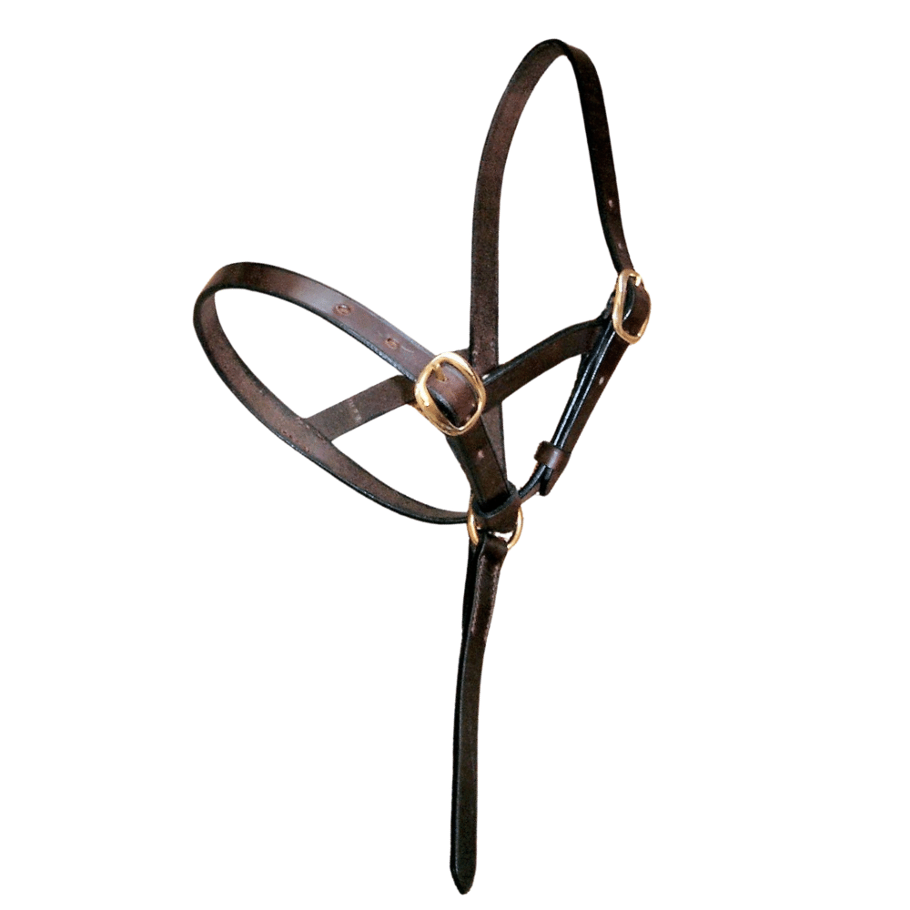 Bespoke leather headcollars hand made by ESB Leather