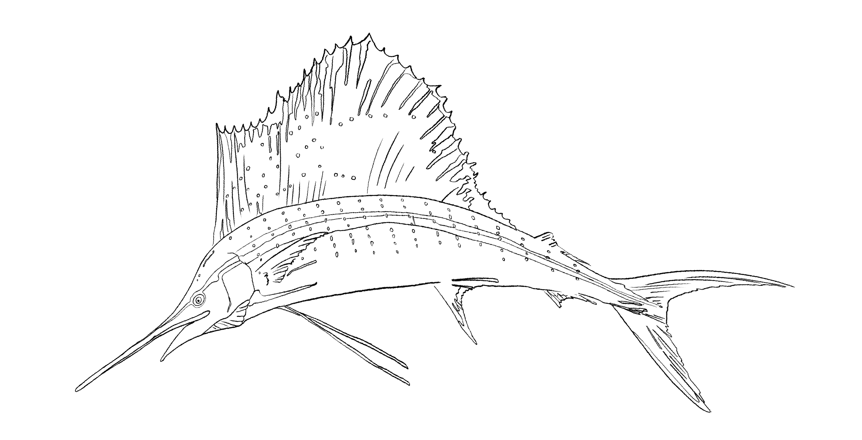 Southampton NY Hotels The Atlantic Southampton Official site