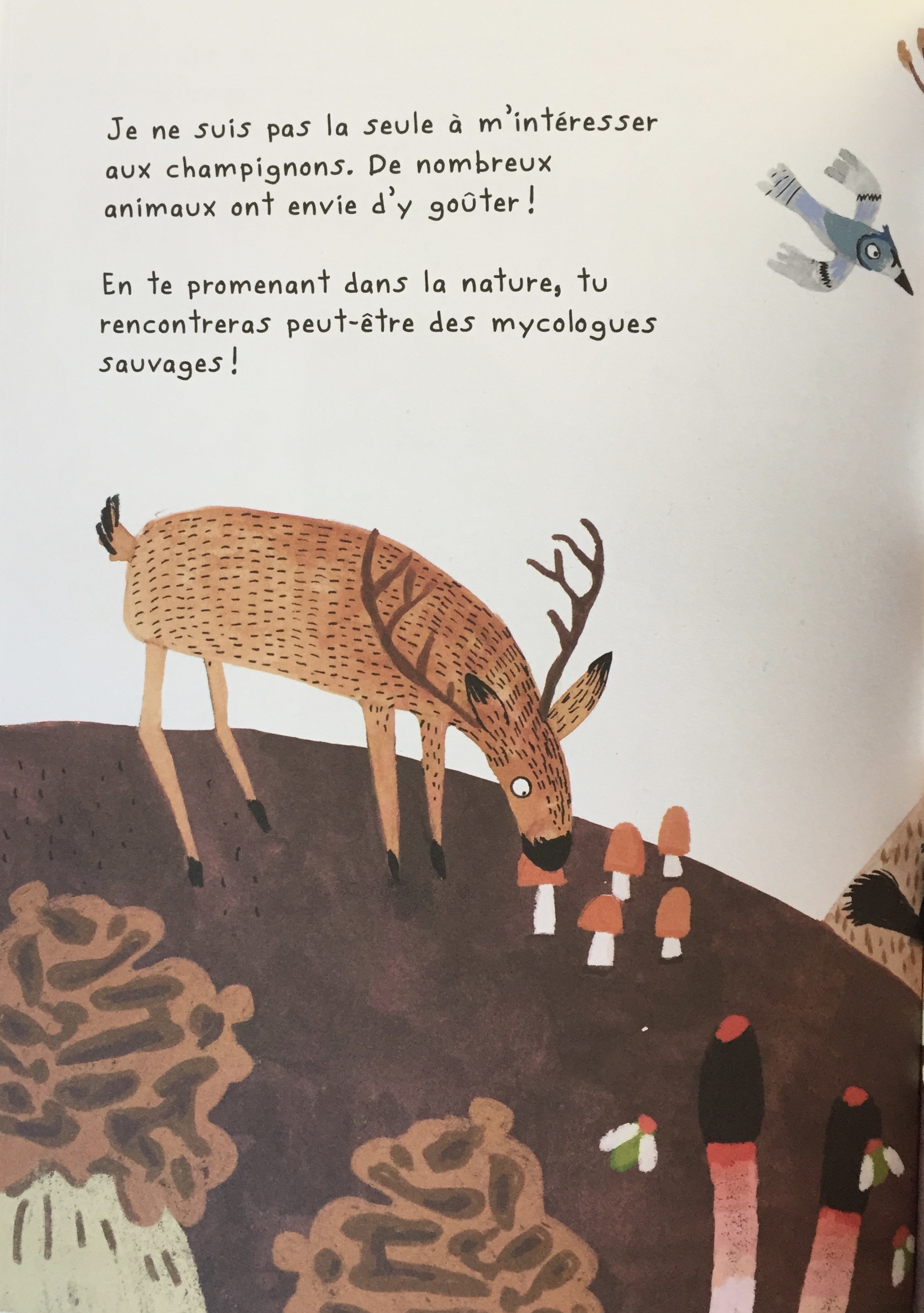 Le fan club des champignons Escale Livres