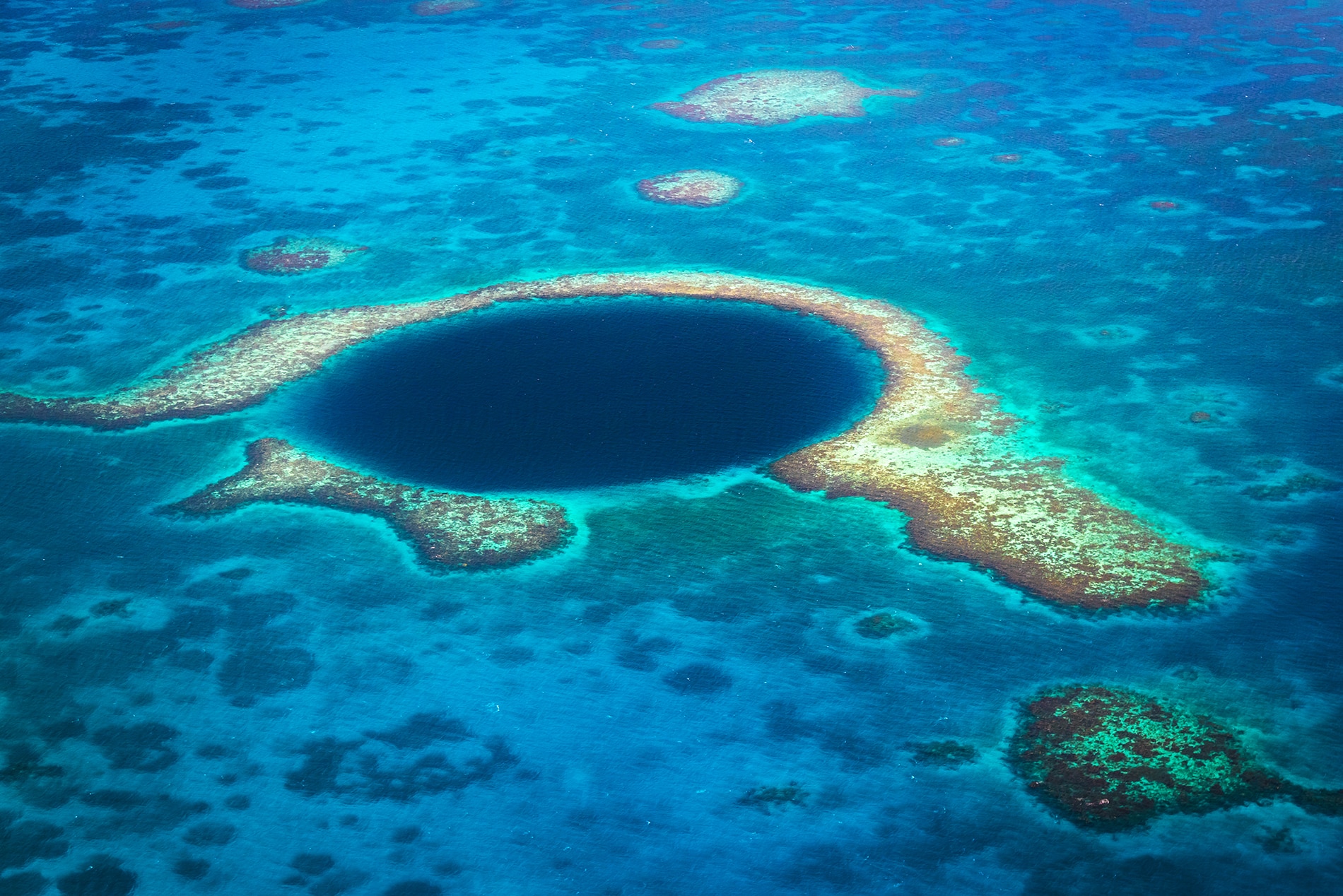 Great Blue Hole, an underwater cenote in Belize PONANT Magazine