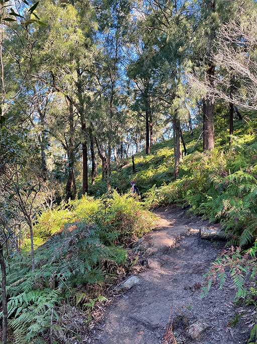Cowan Creek Escape and Explore