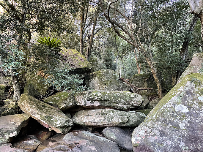 Cowan Creek Escape and Explore