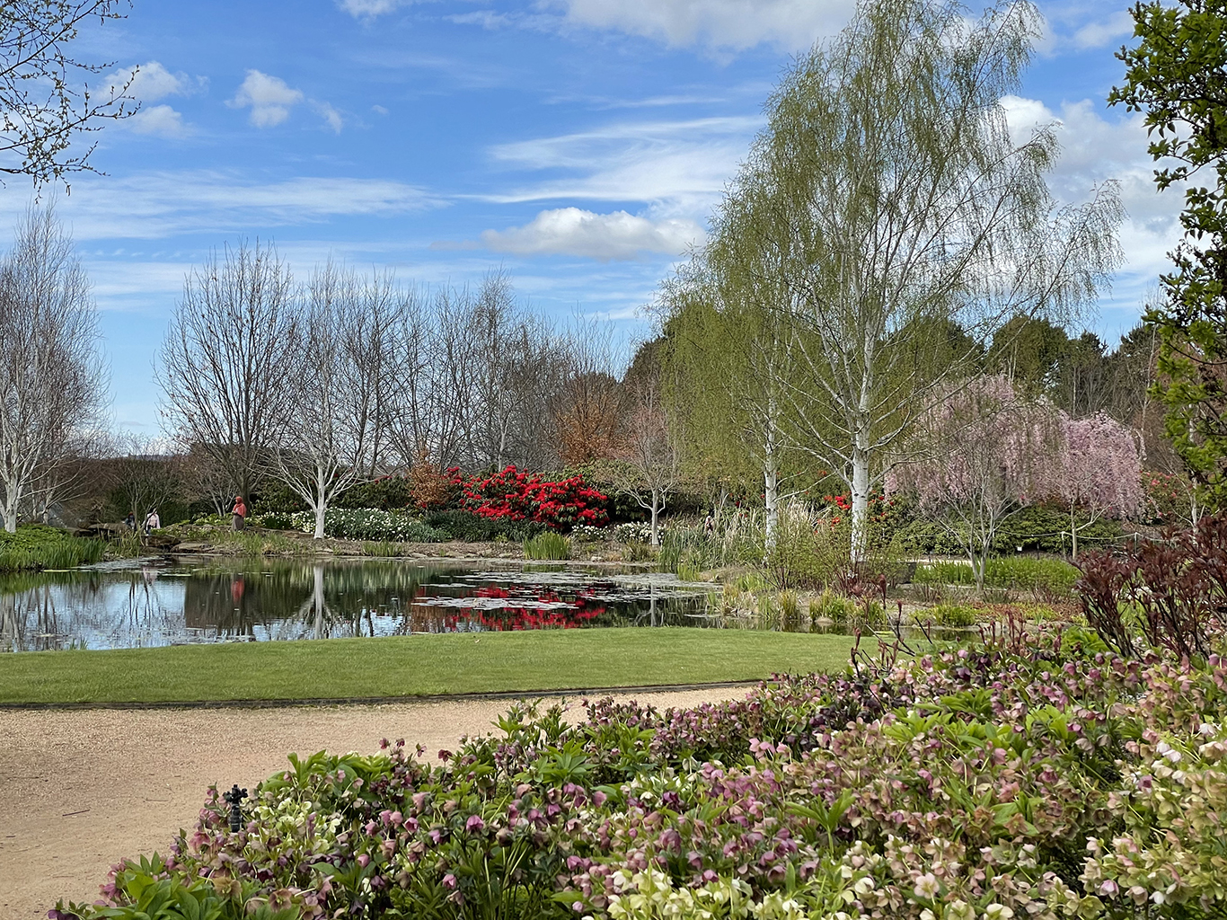 Mayfield Gardens Escape and Explore