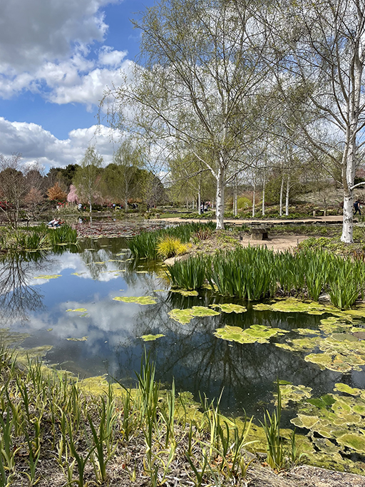 Mayfield Gardens Escape and Explore