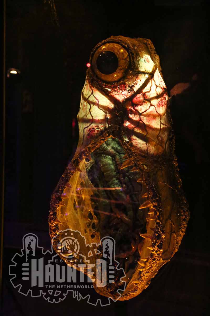 Review Escape the Netherworld Haunted Curse of the Night Hag