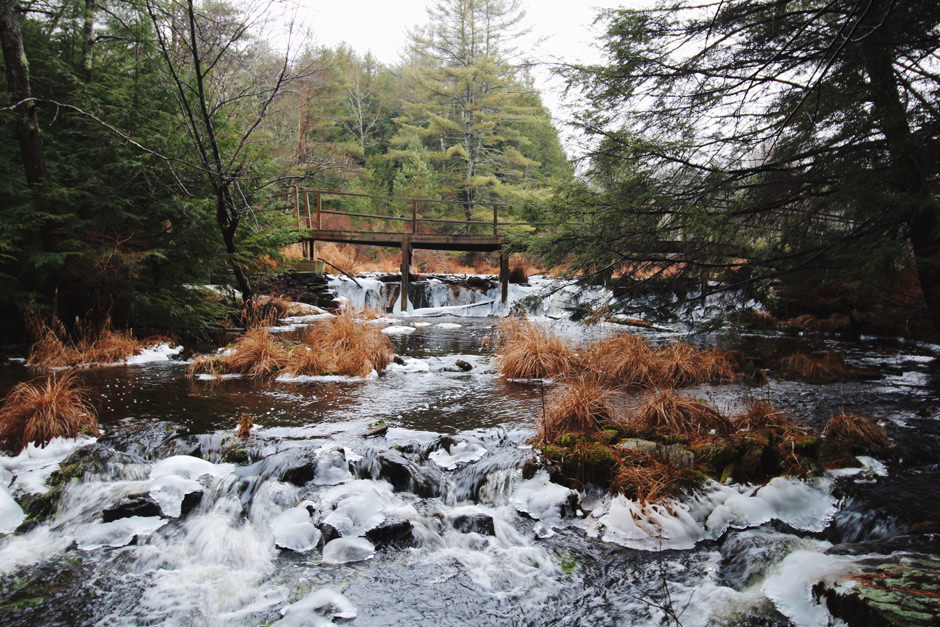 ESCAPE BROOKLYN A Henry David Thoreau Inspired Cabin in Forestburgh, NY