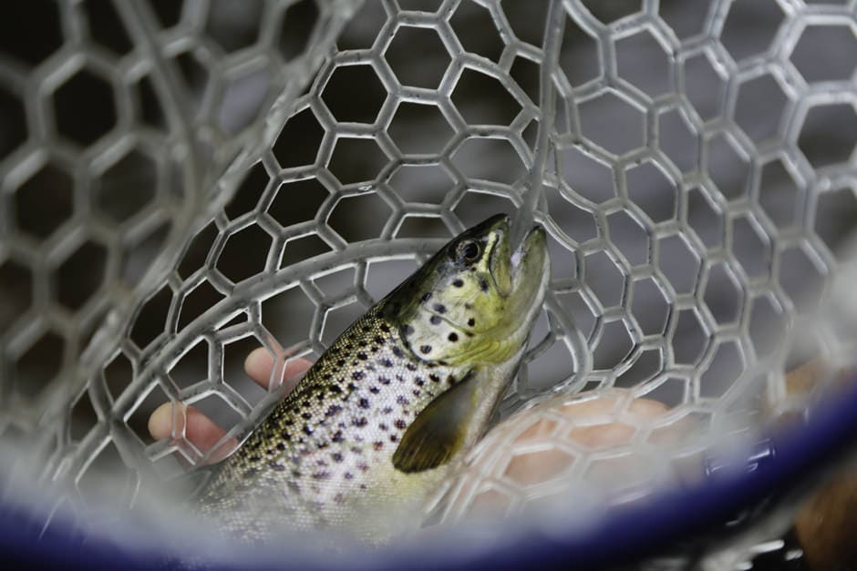 ESCAPE BROOKLYN A Weekend at the Livingston Manor Fly Fishing Club