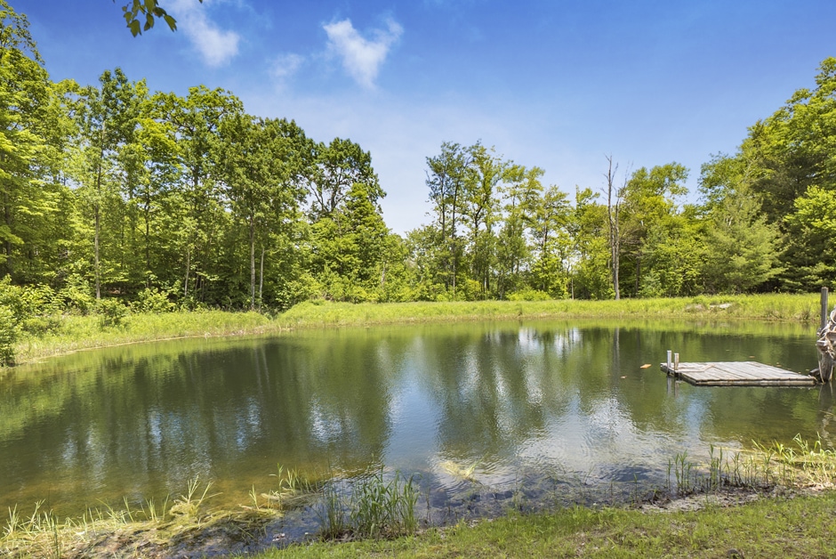 ESCAPE BROOKLYN A Farmhouse in Saugerties, NY
