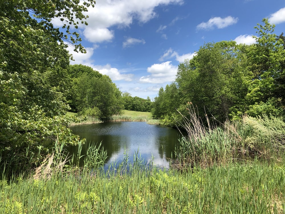 ESCAPE BROOKLYN Brooklyn Heights Farm in Rhinebeck, NY