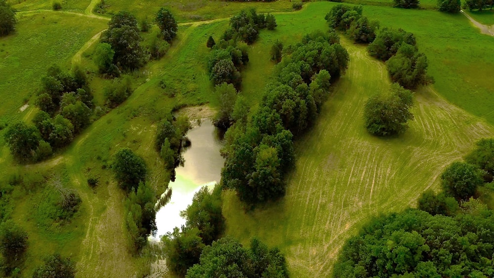 ESCAPE BROOKLYN Brooklyn Heights Farm in Rhinebeck, NY