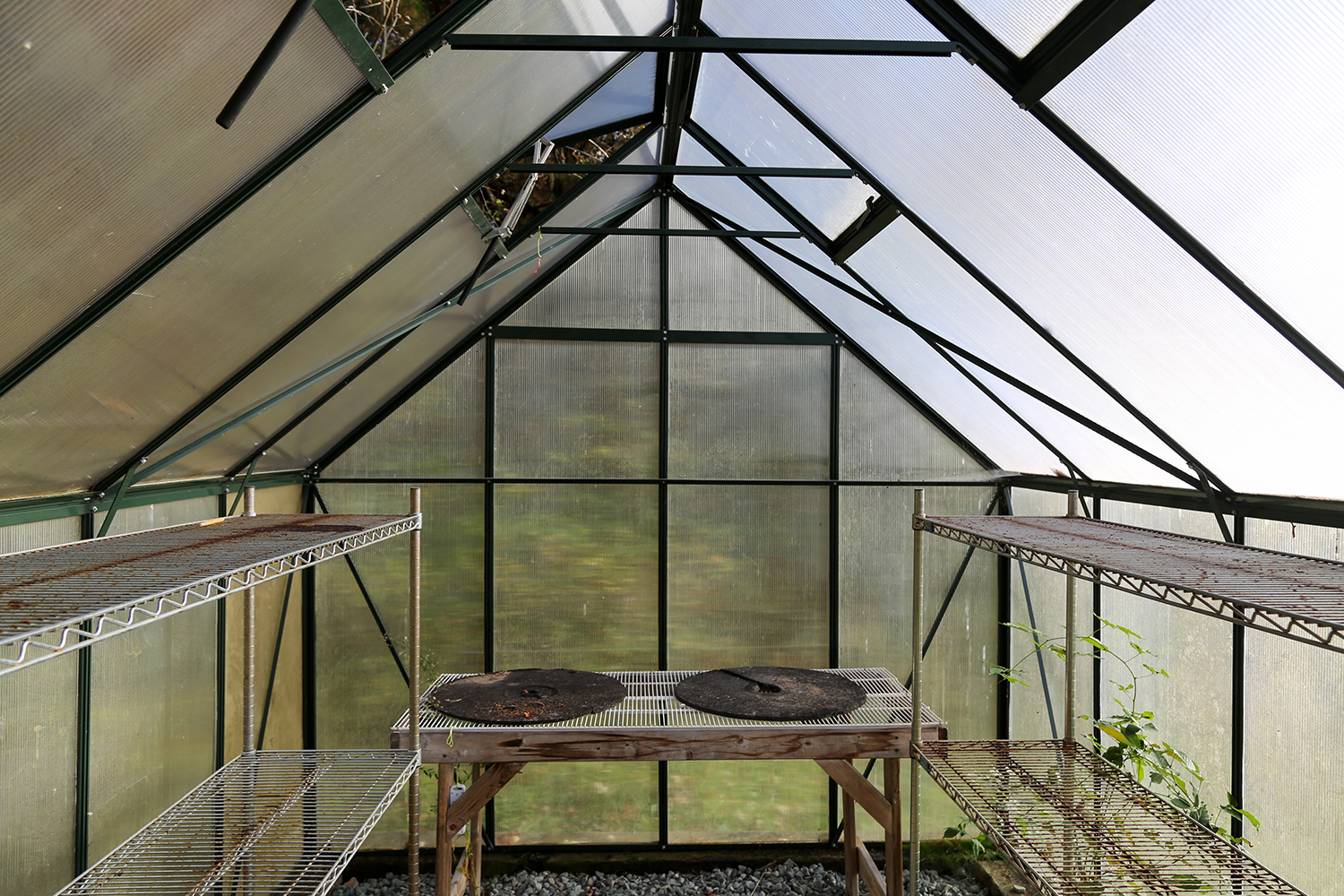 ESCAPE BROOKLYN Little Ireland Cabin in Livingston Manor, NY