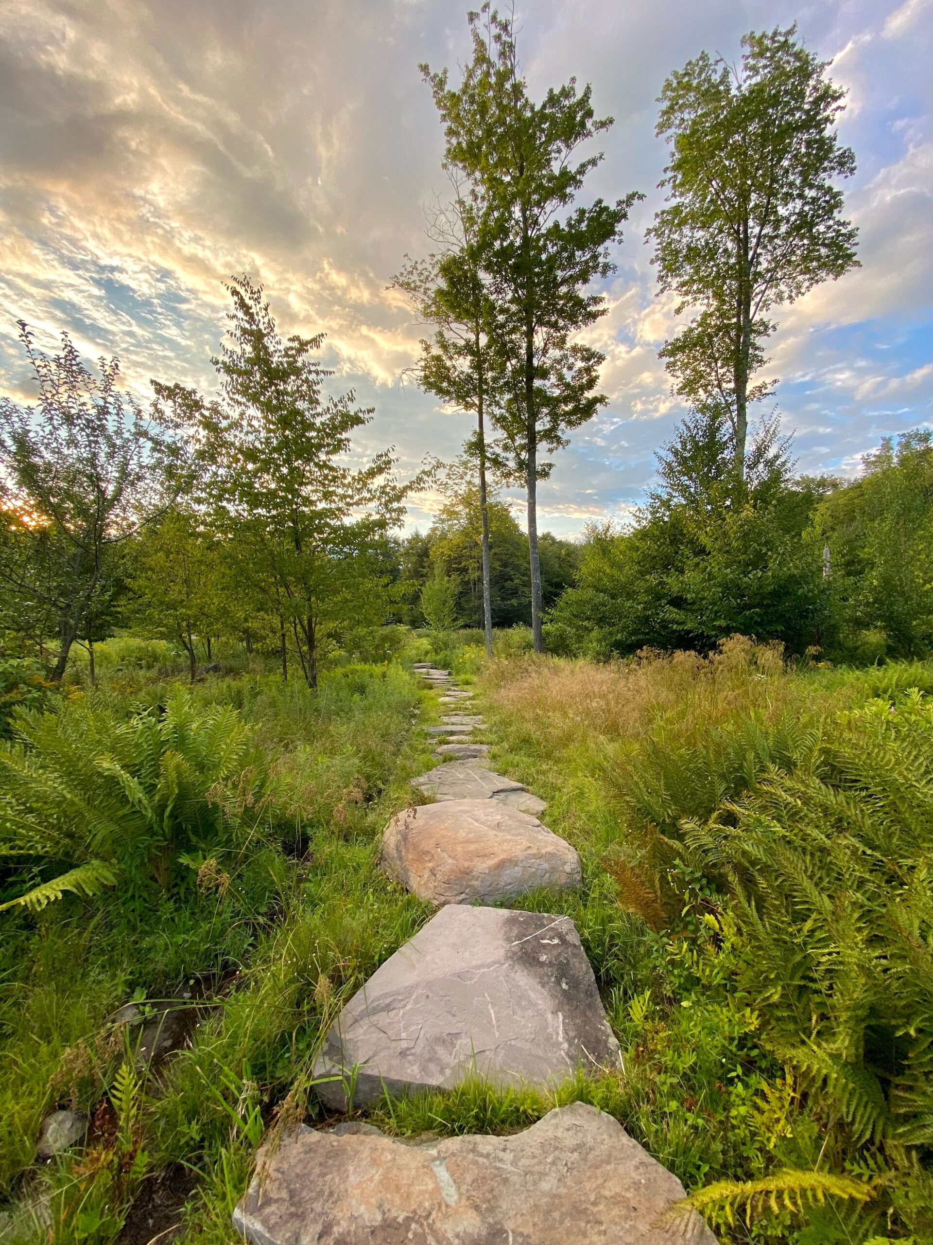 ESCAPE BROOKLYN Red Hill in Livingston Manor, NY