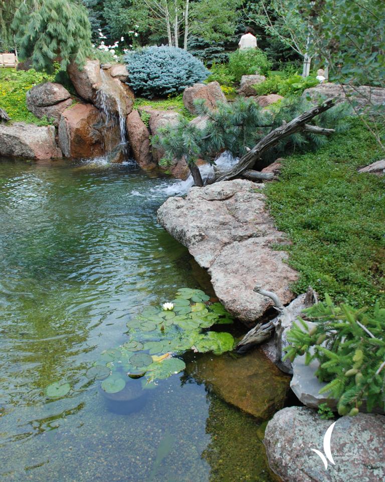 woodland pond a subtle overlay of gardens and water Escape Garden