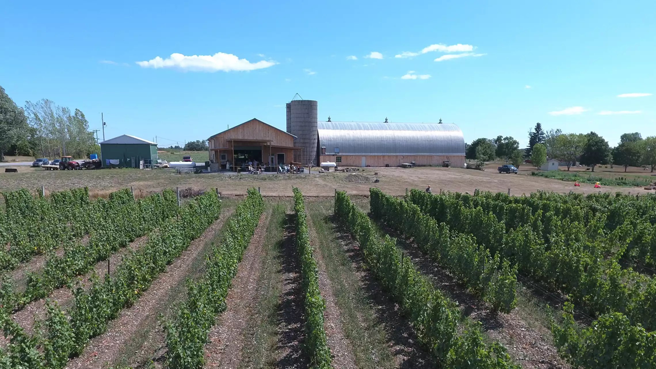 The best Prince Edward County wineries Escapism TO