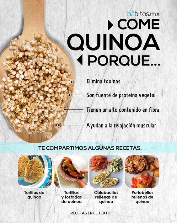 Come Quinoa porque... Escarola, alimentos orgánicos a domicilio