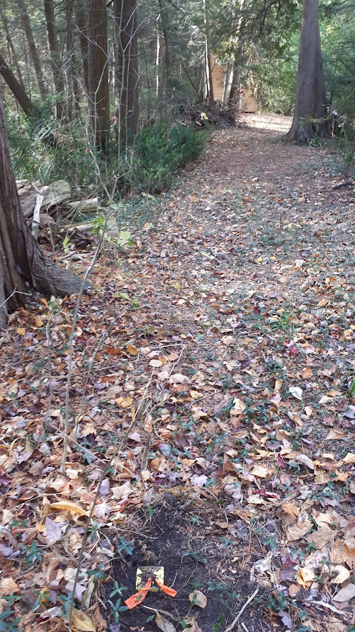 Sifton — Escarpment Biosphere Conservancy