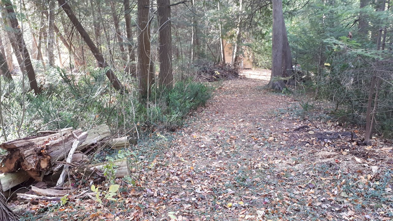 Sifton — Escarpment Biosphere Conservancy