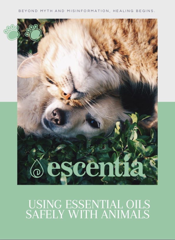 using your essential oils safely around animals Escentia Products