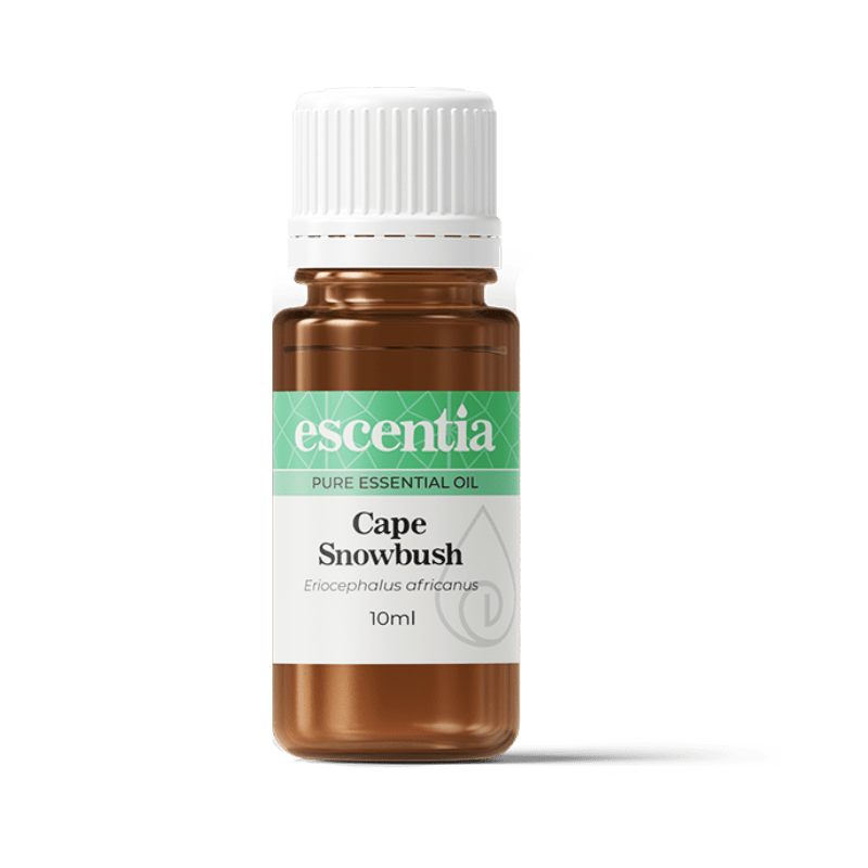 cape snowbush essential oil 10ml Escentia Products