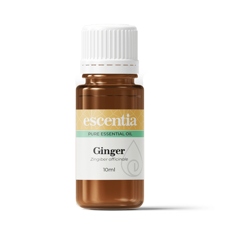 ginger essential oil 10ml Escentia Products