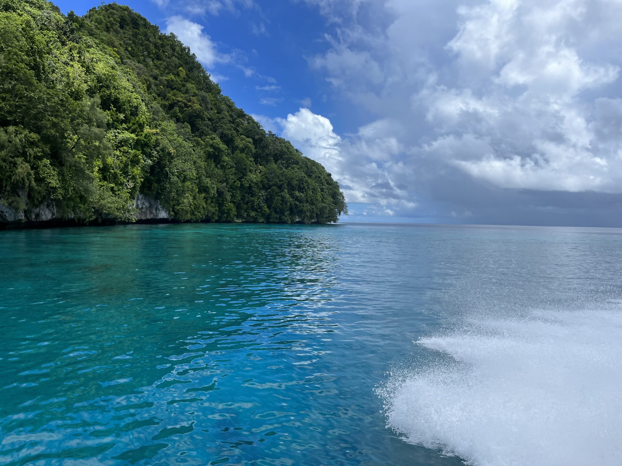 Day 13 Palau & Pelelui