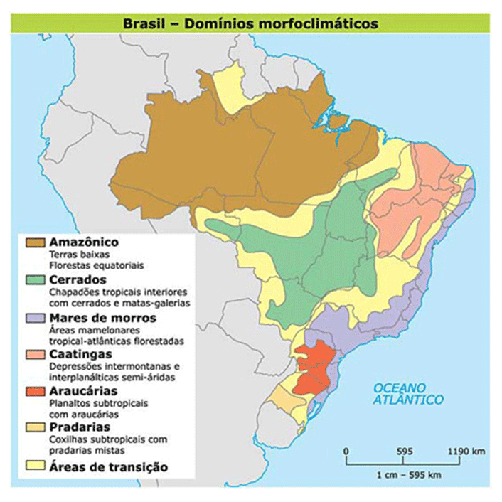Domínios morfoclimáticos do Brasil Classificação do território brasileiro
