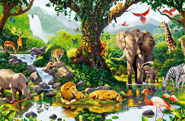 Ecossistema O que é, aquáticos, marinhos, dúlcicolas, terrestres