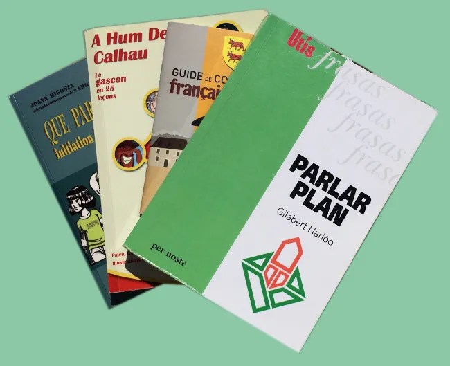 Le gascon, culture et langue indissociables ? Escòla Gaston Febus