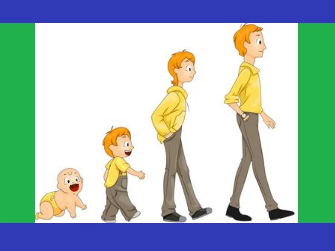 TRANSCURSO DE UMA VIDA « Conteúdo que ajuda equilibrar trabalho e vida.