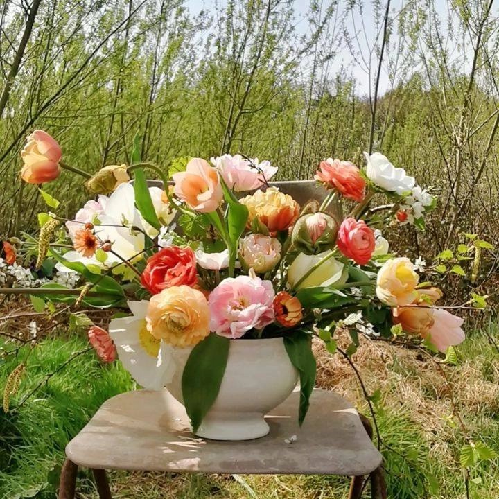 Wallflower ESDAIreland