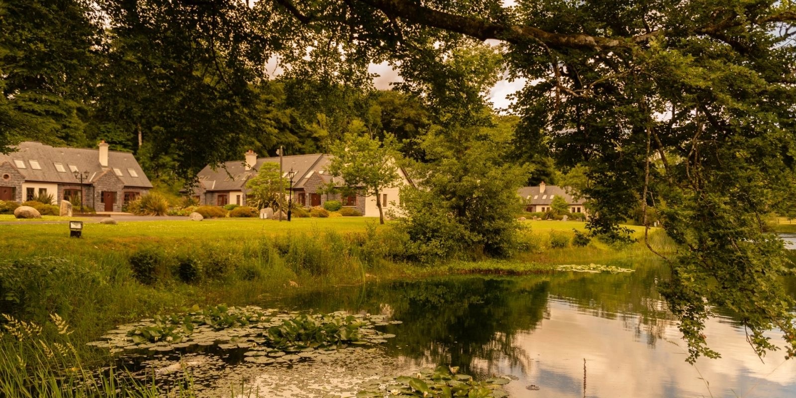 Mount Falcon Estate ESDAIreland