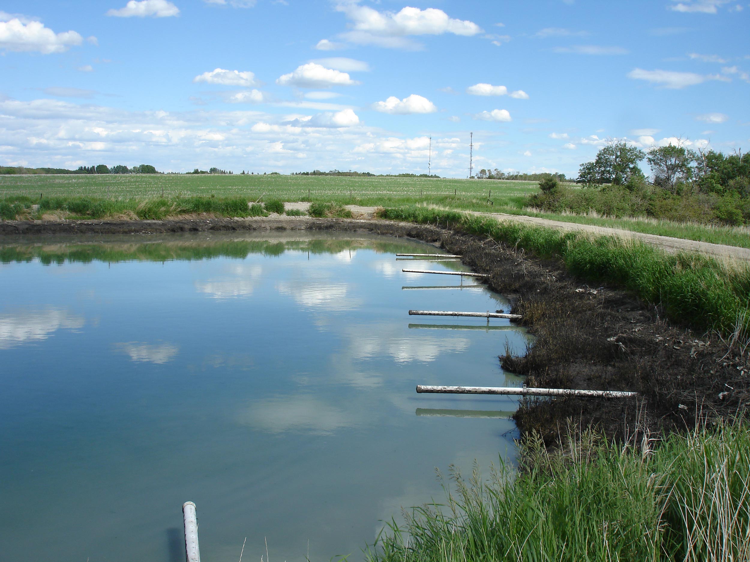 Novel aeration system can improve wastewater lagoon performance