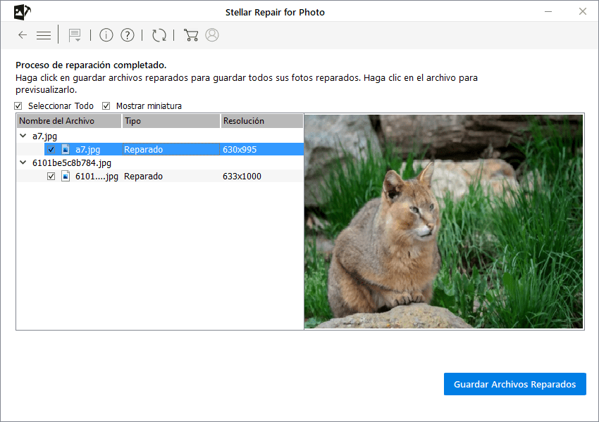 Stellar Repair for Photo » Mejor Software de Reparación de Fotos