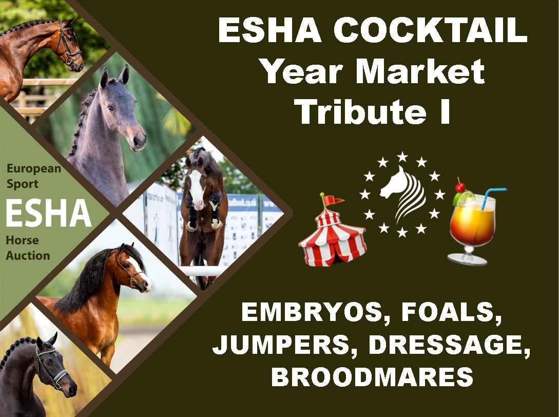 European Sport Horse Auction vzw Veiling overzicht