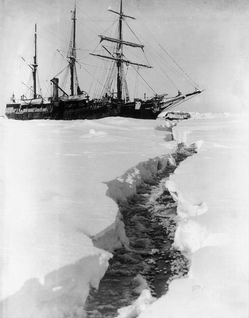 Birthday Shackleton.