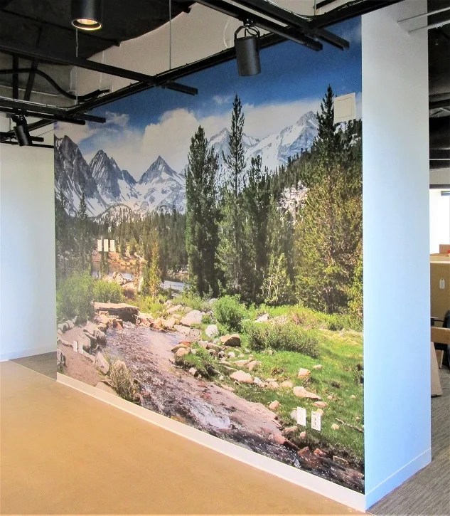 San Jose Wall Wraps Custom Wall Wraps Near Me