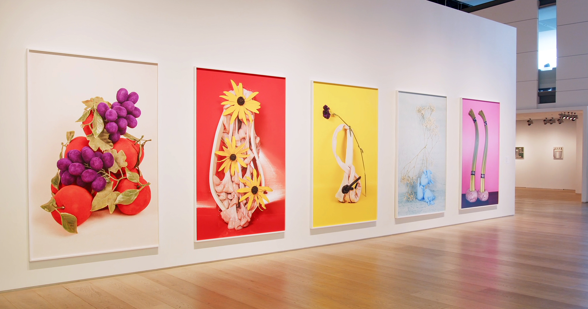 Michelle Bui Esker Foundation Contemporary Art Gallery, Calgary