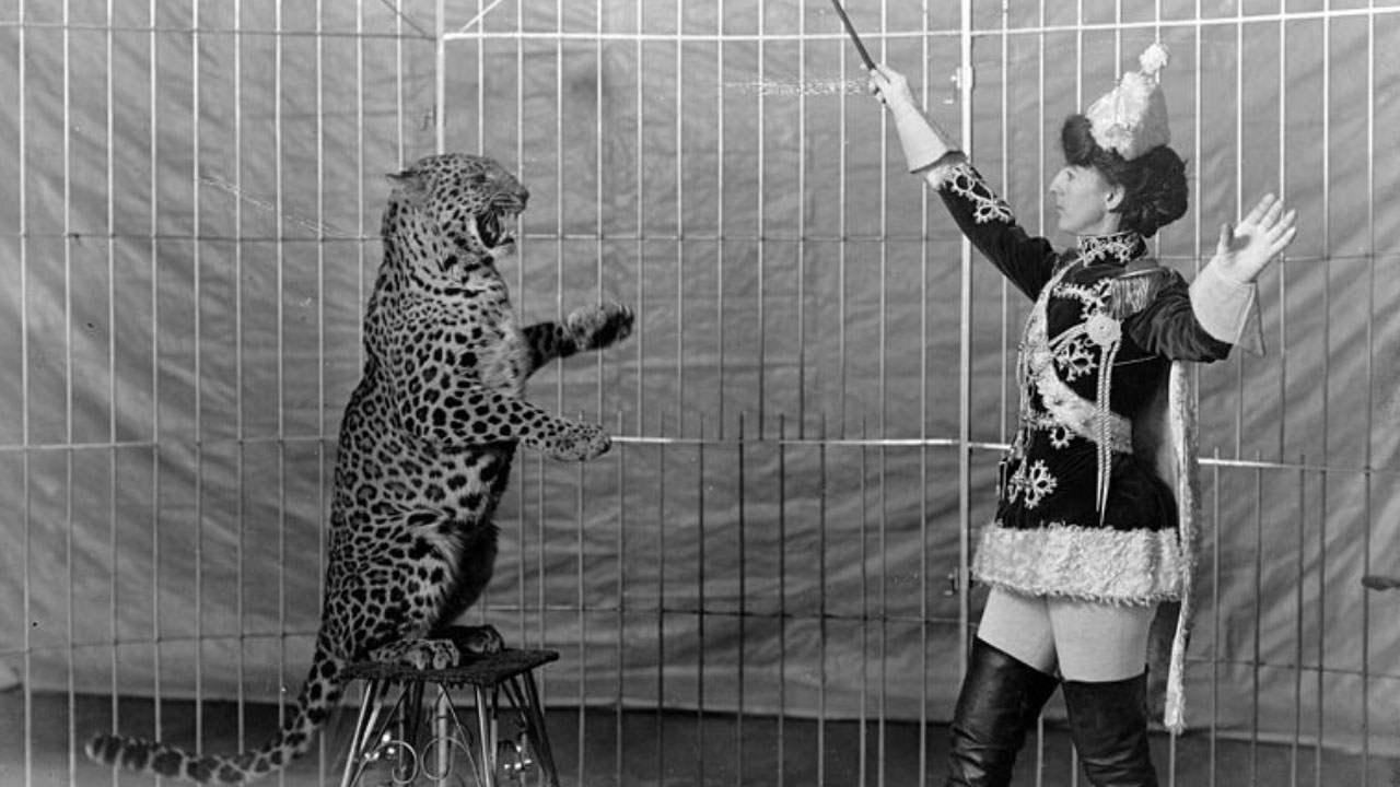 5 Most Dangerous Circus Acts Gone Wrong Eskify