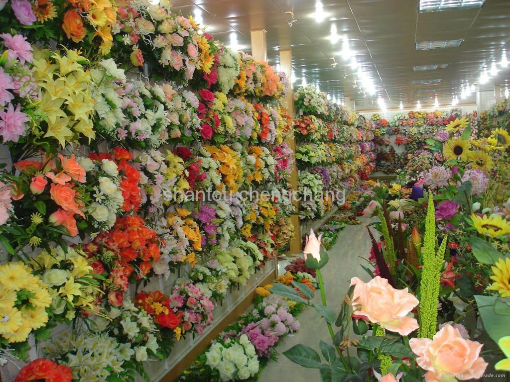 Tropical Flowers wallpaper 1920x1080 42569