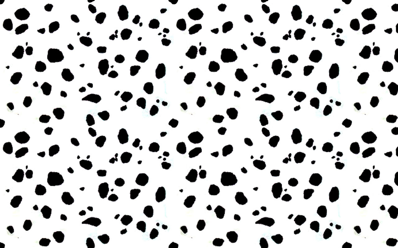 Dalmatian Background wallpaper 1280x800 12624